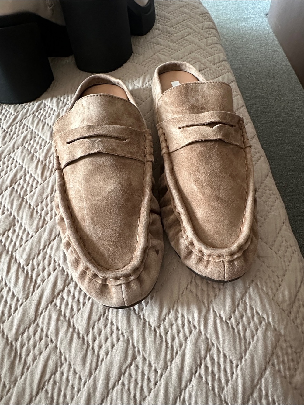 Steve Madden Women's Suede Penny Loafers in Light Brown
